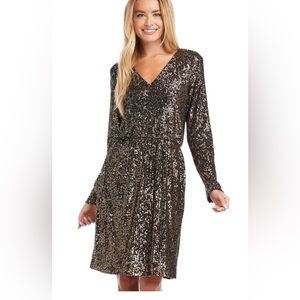 Sequin Dress with Pockets!